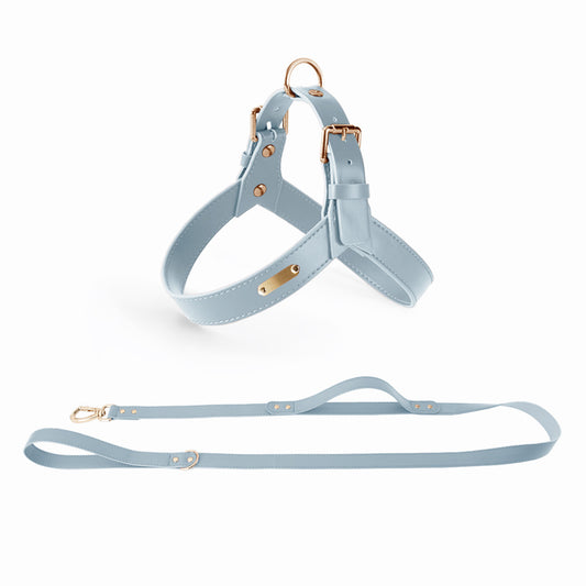 LORENZO PU LEATHER HARNESS + LEASH