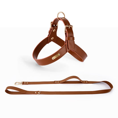 LORENZO PU LEATHER HARNESS + LEASH