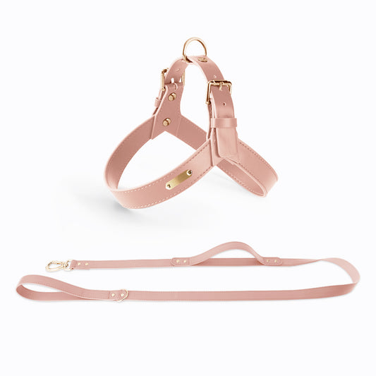 LORENZO PU LEATHER HARNESS + LEASH