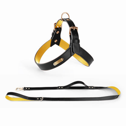 LORENZO PU LEATHER HARNESS + LEASH