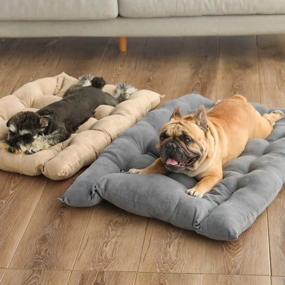 TIGER FUNCTIONAL BED