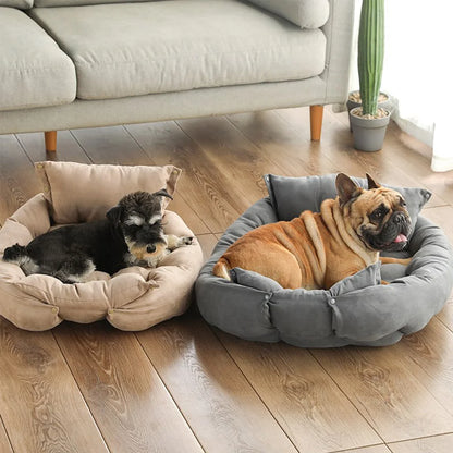 TIGER FUNCTIONAL BED