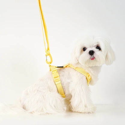 JESSIE HARNESS + LEASH