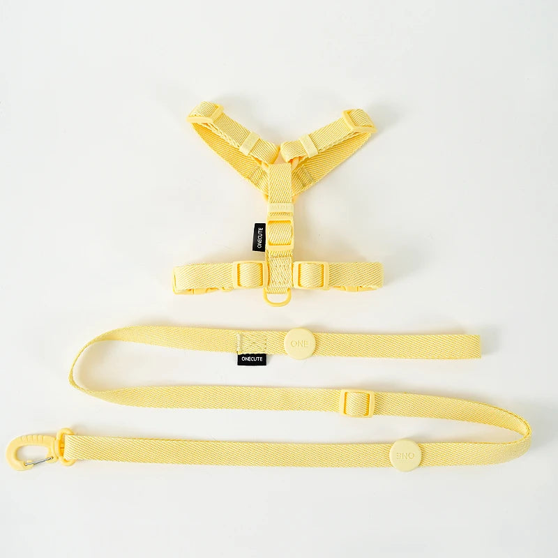 JESSIE HARNESS + LEASH