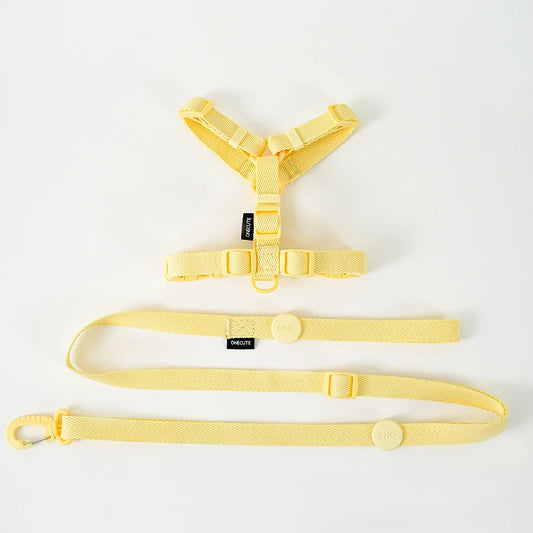 JESSIE HARNESS + LEASH